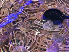 -澜悦港海鲜体验主题餐厅