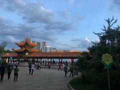 -洛龙公园