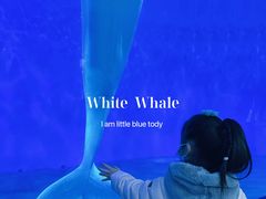 -泉城欧乐堡海洋极地世界