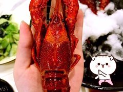 -虾弄弄海派小龙虾·牛羊蝎子火锅