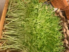 -椰子营·椰子鸡火锅(万象里店)