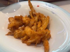 -港升鱼师傅·中山脆肉鲩