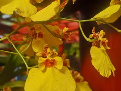 -南通洲际绿博园