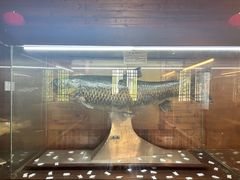 -南京金牛湖风景区