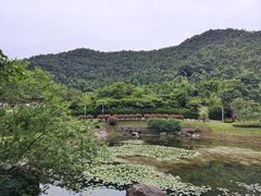 -桃花岭景区