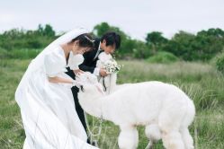 -蒙太奇婚纱摄影(万达店)