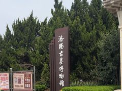 -洛阳古墓博物馆