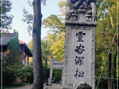 -灵谷景区
