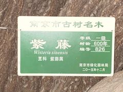 -郑和公园