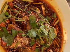 -易老妈蹄花.特色川菜(人民公园总店)