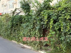 -斯多格书乡(北京大学畅春园店)