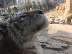 -杭州野生动物世界