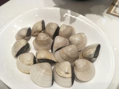 白贝-冯姐生蚝(迎宾广场店)