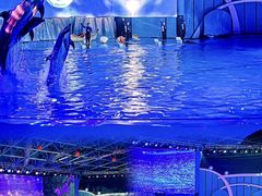 -海合安青岛极地海洋公园