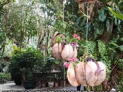 -兴隆隆苑咖啡庄园