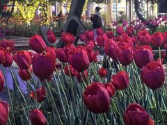 -杭州奥体中心-体育场