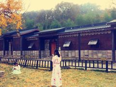 -千年银杏谷文化旅游区