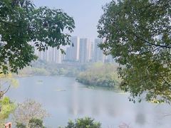 -重庆彩云湖湿地公园