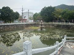 -红山村