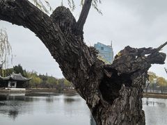 -无锡蠡湖国家湿地公园-蠡园