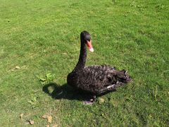 -长兴太湖图影湿地文化园