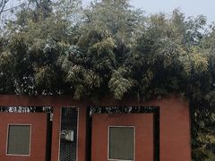 -中关村生命科学园