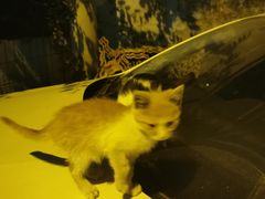 -长辛店二七公园