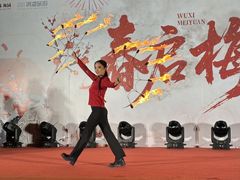 -无锡梅园公园
