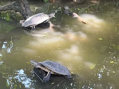 -广州长隆飞鸟乐园