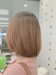 -YESIDO椰岛造型
