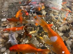 -龙源茶坊(白银路店)