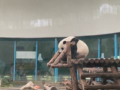-天津市动物园
