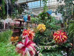 -正佳雨林生态植物园