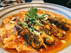梭子鱼炖豆腐-老长春肉馆(创业大街店)