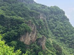 -王莽岭风景区