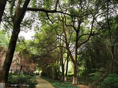 -白马涧龙池景区