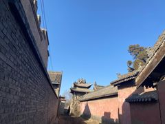 -T11生鲜超市(朝阳公园店)