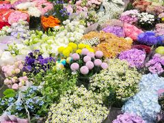 -双季花艺园艺市场(浦东店)