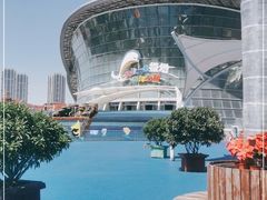 -海合安天津极地海洋公园