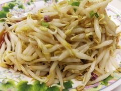 芽菜-1977 New Ipoh Chicken Rice 新怡保鸡饭店(陀螺街)