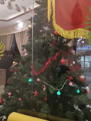 -芳朵美容养生SPA