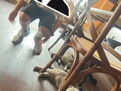 -猫岛主趣味餐厅(鼓浪屿店)