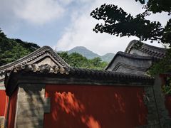 -阳台山自然风景区