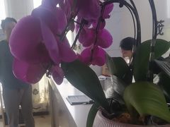 -茂菊口腔连锁(浦东南路店)