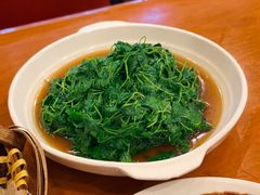 酒香菜头-牧羊餐厅