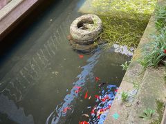 -宁波浙东大竹海景区