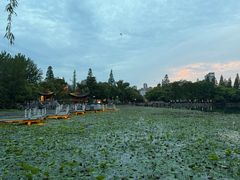 -金隆兴(镜湖店)