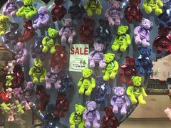 -济州岛泰迪熊博物馆