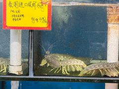 -蚝专家(北滘店)
