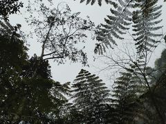 -赤水丹霞旅游区·佛光岩